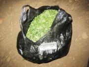 В Арзгирском районе изъята крупная партия марихуаны