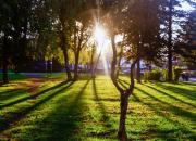 Новые скверы, аллеи и спортплощадки скоро появятся в Ставрополе