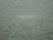 Следственный комитет начал проверку по факту исчезновения трёх девочек