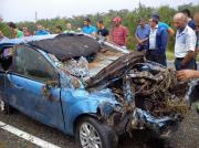 На Ставрополье легковушка вылетела в кювет, двое погибли